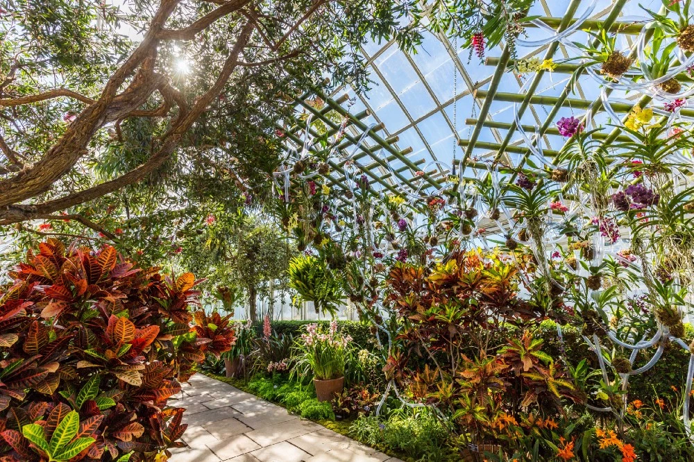 Flowers and greenery in garden